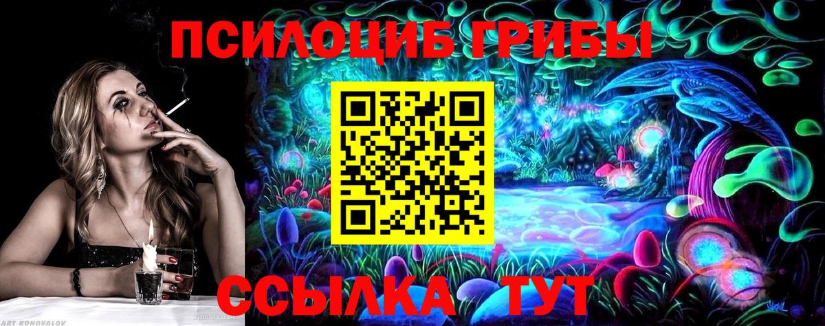 Боровичи  Псилоцибиновые грибы ЛСД  Вход с VPN  Псилоцибиновые грибы мицелий 