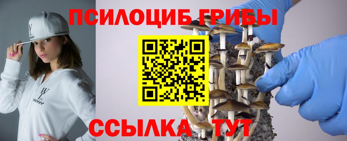 Псилоцибиновые грибы GOLDEN TEACHER Боровичи